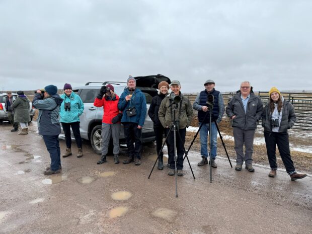 Winter Birds of Prey Field Trip, Co-Sponsored by Owl Research Institute